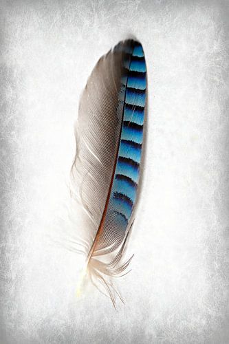 wie het kleine niet eert.....