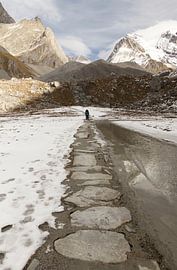 De hiker en de bergtoppen van Nathan Marcusse
