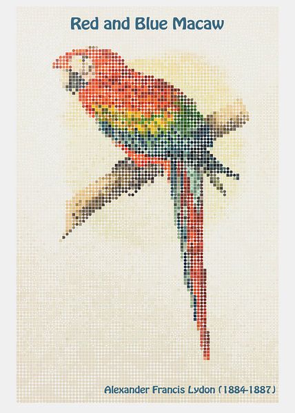 Red and Blue Macaw by Alexander Francis Lydon by Ornimosa art