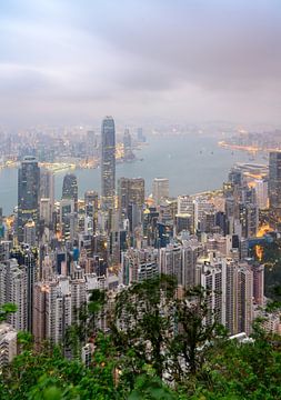 Het uitzicht van Hong Kong van Victoria Peak van Lorena Cirstea