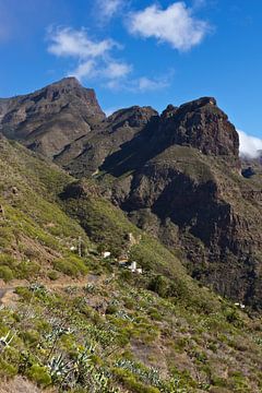 Hiking trail at Mirador de la Cruz de Hilda - Tenerife by Anja B. Schäfer