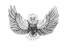 Dessin détaillé d'un aigle majestueux