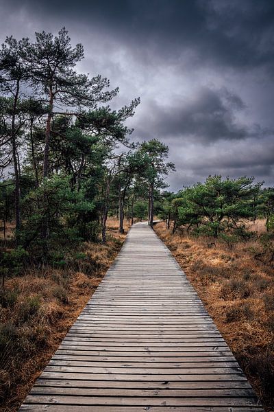 the path by iwan faber