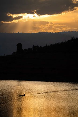Goldener Sonnenuntergang 