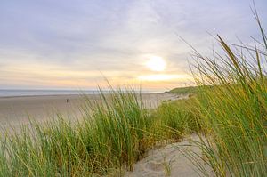 Zonsopgang in de duinen van Texel bij de Waddenzee van Sjoerd van der Wal Fotografie