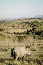 White rhino in Africa, gazing into the distance by Leen Van de Sande thumbnail