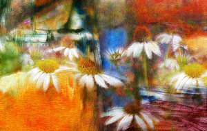 Margeriten Impression
