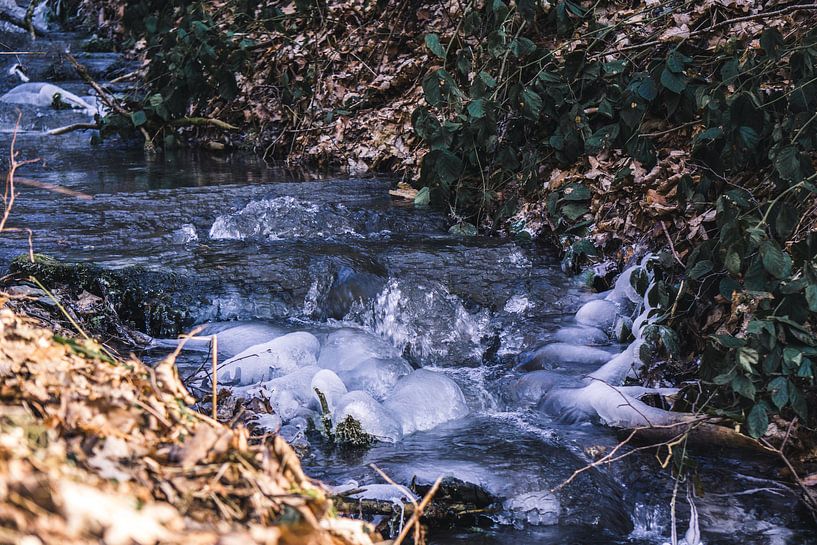 Vredig beekje in de Ardennen van Nynke Nicolai