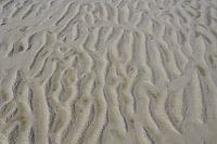 Strand zandrillen
