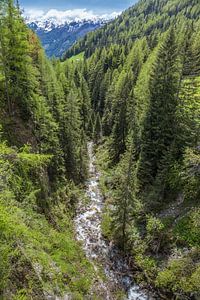 Gebirgsbach in tiefer Schlucht im Mühlwalder Tal, Südtirol