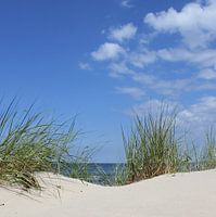 Dunes