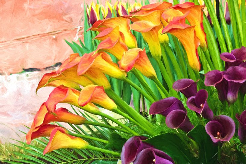 Calla Zantedeschia van eric van der eijk