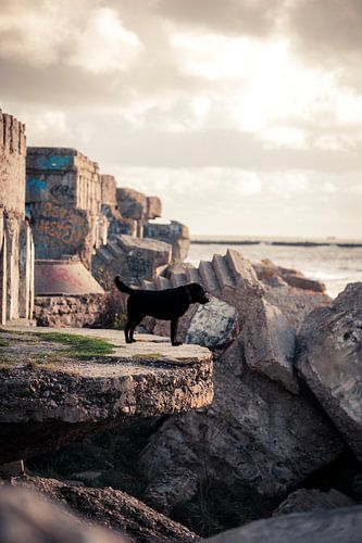 De Wachter van de Kust – Historische Ruïnes en Architectuur