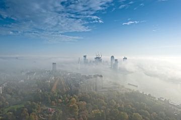 Fog patches over Rotterdam
