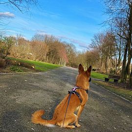 Bambina and her outings by Holy Heaven