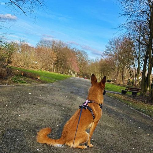 Bambina and her outings