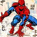 Spiderman van Michiel Folkers thumbnail