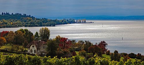 Lake Constance in autumn 1.0 ART Panorama