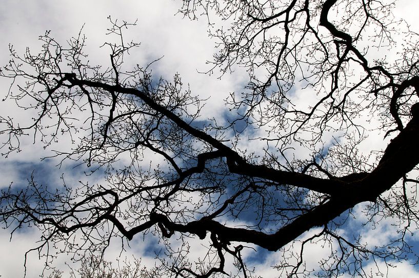 clouds behind von jada fotografie