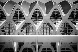 Blurred Lines by Gonnie van Roij