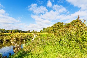 Landschap in de herfst in het Warnow-doorbraakdal bij Groß Görnow van Rico Ködder