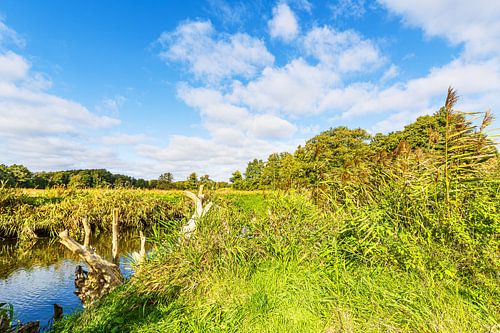 Landschap in de herfst in het Warnow-doorbraakdal bij Groß Görnow
