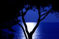 Silhouette