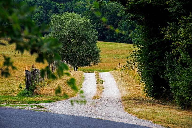 Taking a shortcut in France by Blond Beeld