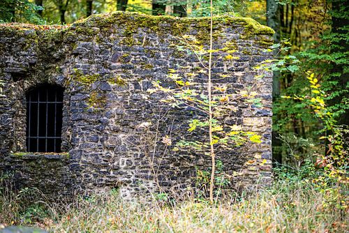 Lieu perdu dans la forêt