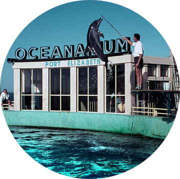 Oceanarium Port Elizabeth Zuid-Afrika jaren ‘50 van Timeview Vintage Images