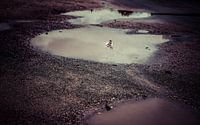 The Rains #02
