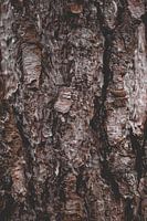 bark