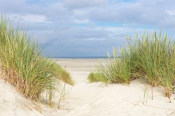 Vue de la plage de la mer du Nord sur l' île du Terschelling sur Sjoerd van der Wal Photographie