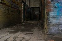 FORT DE LA CHARTREUSE URBEX