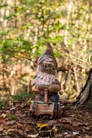 Kabouter in het bos