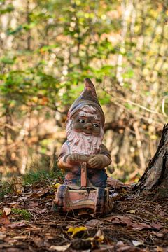 Gnome dans la forêt sur Ramon Van Gelder