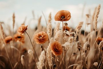 Orange Poppy Field by Treechild