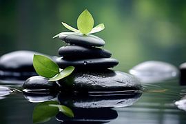 Relaxation