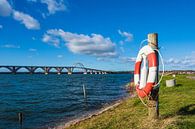 Eine Brücke zwischen Seeland und Moen in Dänemark von Rico Ködder Miniaturansicht