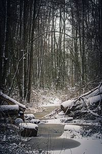 winter landscape