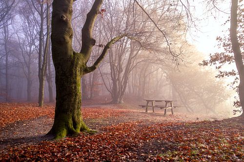 Tisch im Nebel auf dem Noordberg