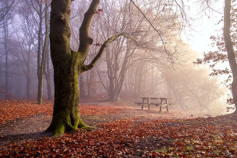 Table dans le brouillard sur le Noordberg par Robbert van Rijsewijk