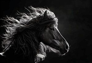 Mysteriöses Dartmoor-Pony