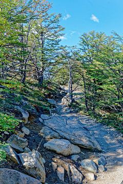 Wandern in El Chalten