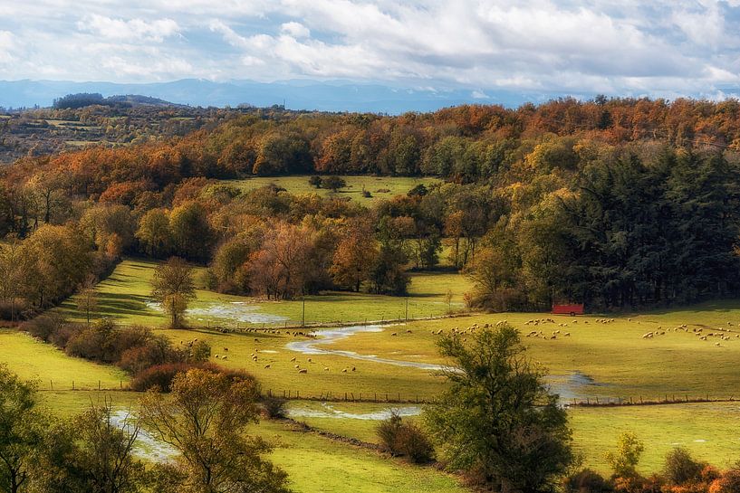 Like a painting by Annemieke Linders