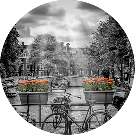 Typisch Amsterdam van Melanie Viola