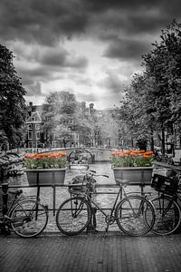 Typisch Amsterdam von Melanie Viola