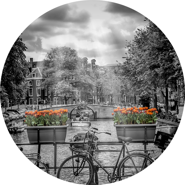 Typisch Amsterdam van Melanie Viola