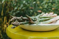 Asparagus in nature | food photography | rural | yellow and green