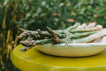 Asperges in de natuur | food fotografie | landelijk | geel en groen